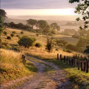 Meet your Posher, Austin